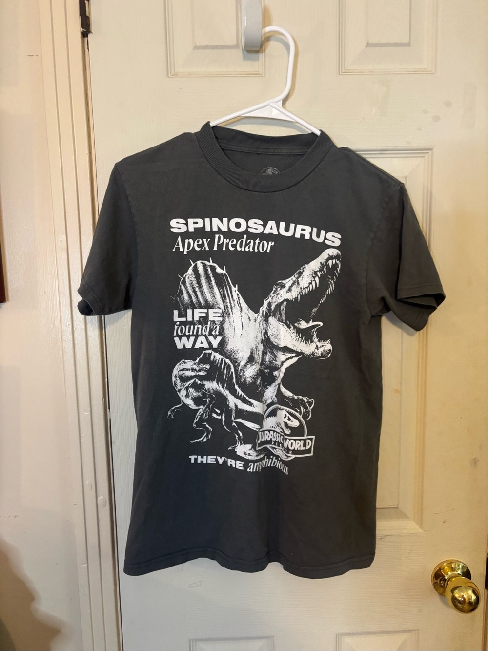 Spinosaurus Apex Predator T-Shirt - Black